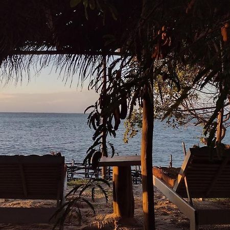 فندق Oceano أتينز المظهر الخارجي الصورة