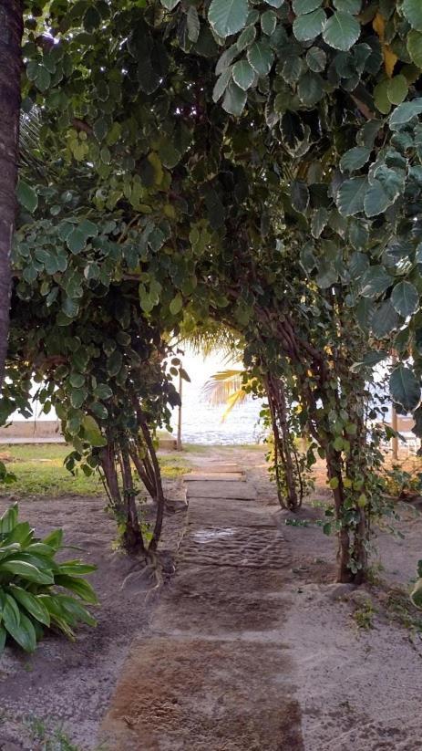 فندق Oceano أتينز المظهر الخارجي الصورة