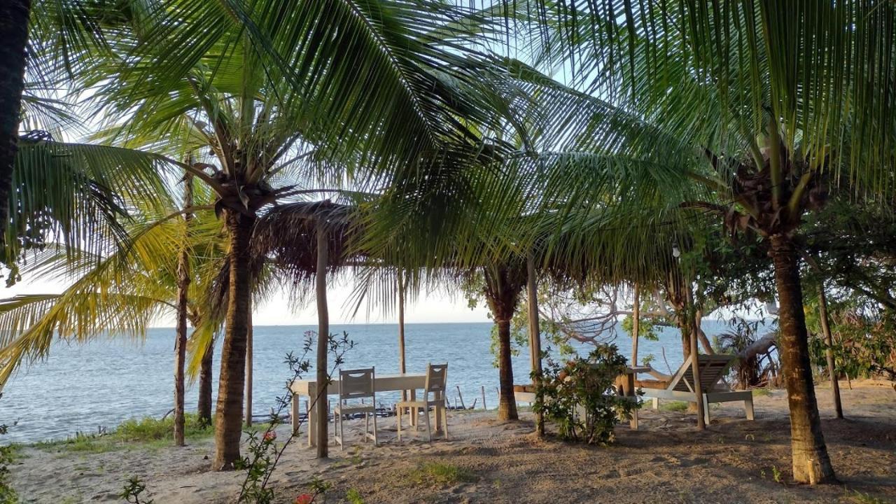 فندق Oceano أتينز المظهر الخارجي الصورة